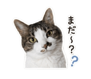 842329490