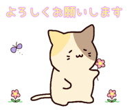 842329558
