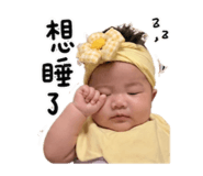 842332981