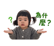 842333026