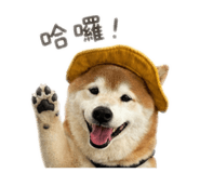 842333089