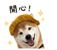 842333090