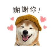 842333091