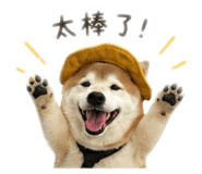 842333092