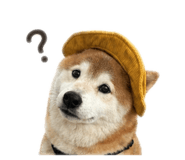 842333093