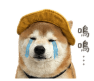 842333094