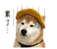842333095