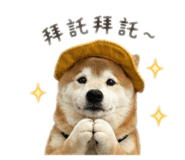 842333096