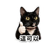 842333438