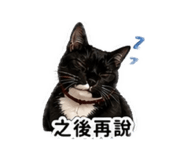 842333441