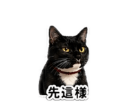 842333446