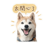 842333611