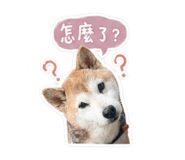 842333614