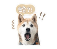 842333618