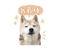 842333626