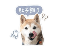 842333629