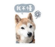 842333631