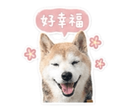 842333632