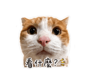 842333680