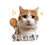 842333681