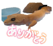 842333702