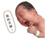 842333761