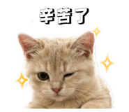 842333779