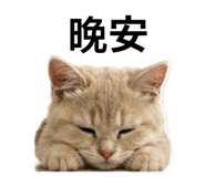 842333781