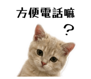 842333784