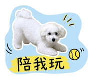 842333815