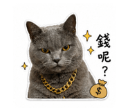 842334003