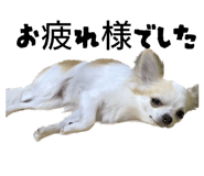 842334097