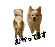 842334099