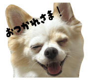 842334104