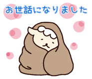 842334428
