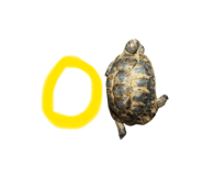 842334510