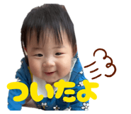 842334558