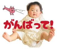 842334567