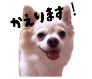 842334605