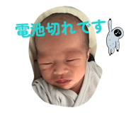 842335376