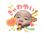842335666