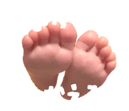 842335906