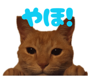 842336515