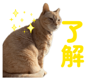 842336516