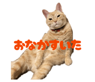 842336526