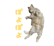 842336531
