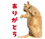 842336534