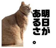 842336535
