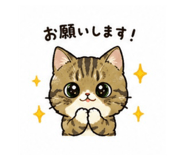842336647