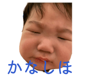 842337016